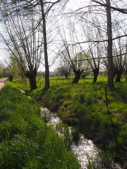 Kalkense Meersen (België)